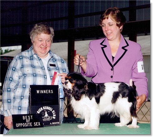 Ch. Hillwood Casio Exilim - Cassy