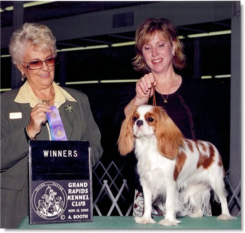 Ch. Winbury Hillwood Little Jewel - LJ