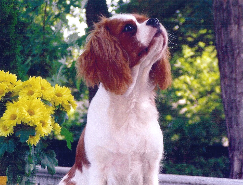 Flying Colors Jpeg - Chloe